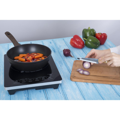 Настільна плита ERGO HP-1509