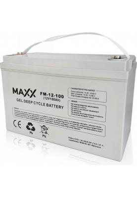 Акумулятор для ДБЖ MAXX Battery 12-FM-100 12V 100Ah