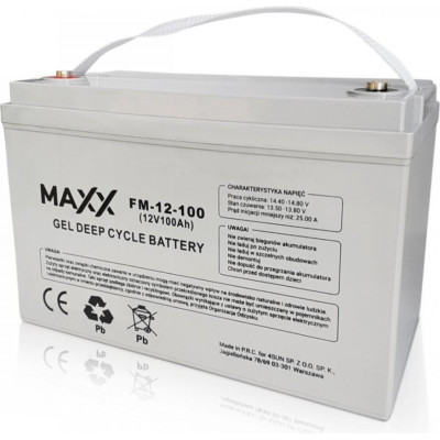 Акумулятор для ДБЖ MAXX Battery 12-FM-100 12V 100Ah