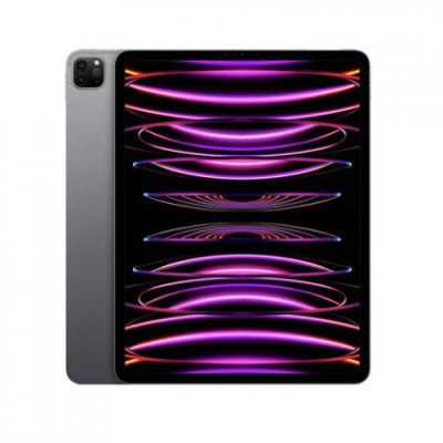 Планшет Apple iPad Pro 11 2022 Wi-Fi + Cellular 1TB Space Gray (MP5E3, MNYJ3)