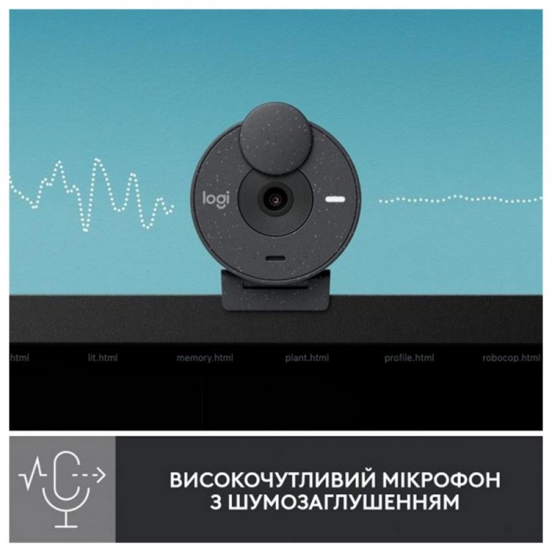 Веб-камера Logitech Brio 300 FHD Graphite (960-001436)