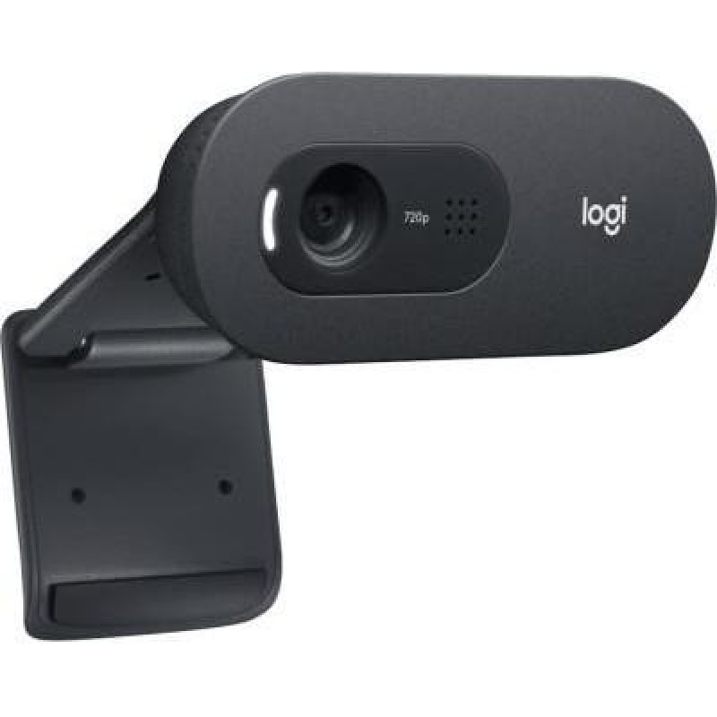 Веб-камера Logitech C505e HD (960-001372)