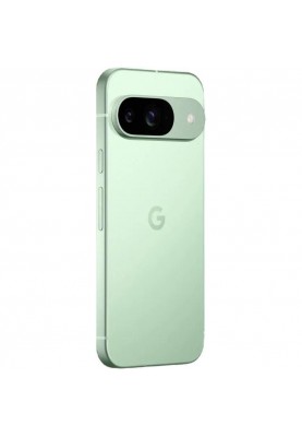 Смартфон Google Pixel 9 12/128GB Wintergreen