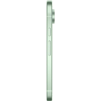 Смартфон Google Pixel 9 12/256GB Wintergreen
