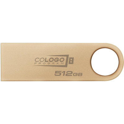 Флешка Kingston 512 GB DataTraveler SE9 Gen 3 Gold (DTSE9G3/512GB)