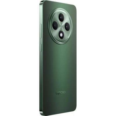 Смартфон OPPO Reno12 FS 5G 12/512GB Black Green