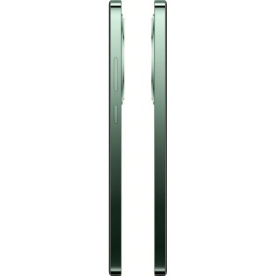 Смартфон OPPO Reno12 FS 5G 12/512GB Black Green