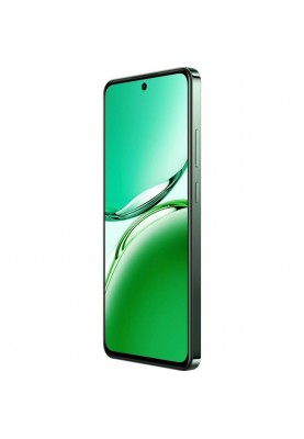 Смартфон OPPO Reno12 FS 5G 12/512GB Black Green