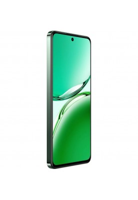 Смартфон OPPO Reno12 FS 5G 12/512GB Black Green