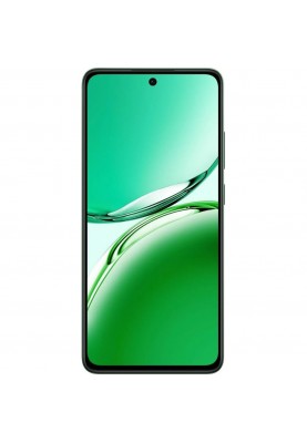 Смартфон OPPO Reno12 FS 5G 12/512GB Black Green