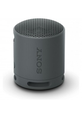 Портативна колонка Sony SRS-XB100 Black (SRSXB100B)