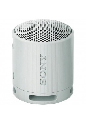 Портативна колонка Sony SRS-XB100 Grey (SRSXB100H.CE7)