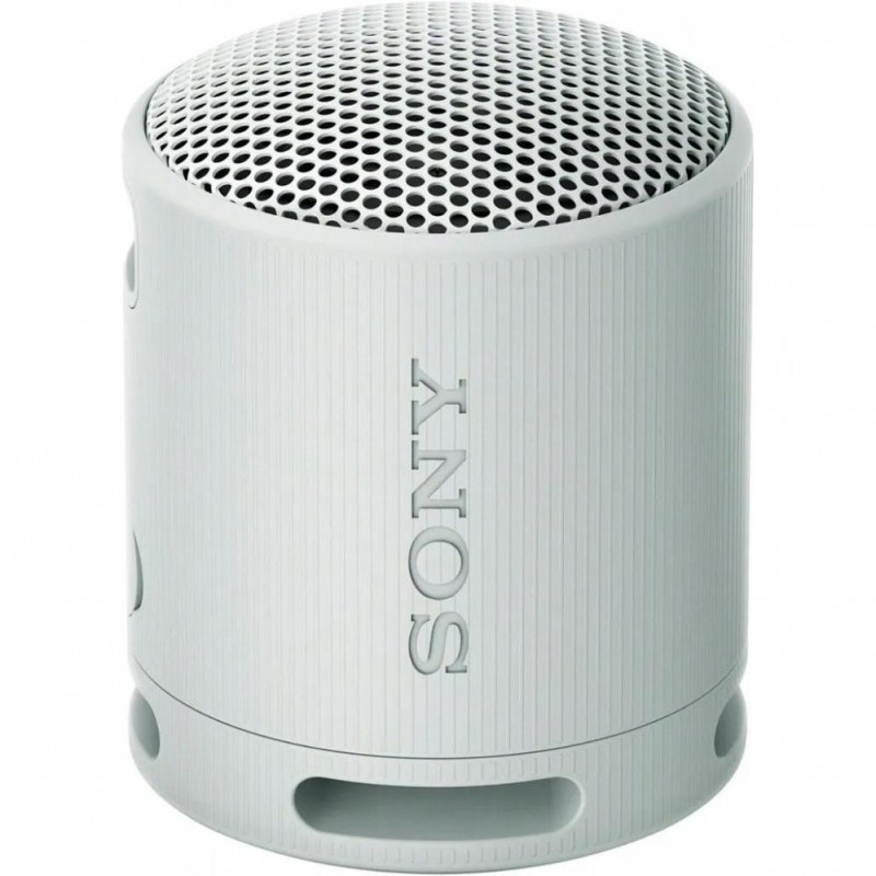 Портативна колонка Sony SRS-XB100 Grey (SRSXB100H.CE7)