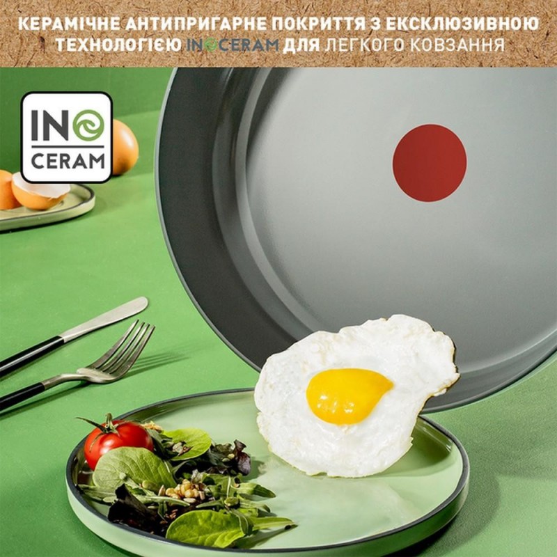 Сковорода звичайна Tefal Renewal 24 см (C4260443)