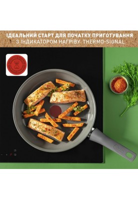 Сковорода звичайна Tefal Renewal 28 см (C4260643)