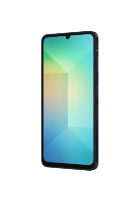 Смартфон Samsung Galaxy A06 4/128GB Black (SM-A065FZKG)