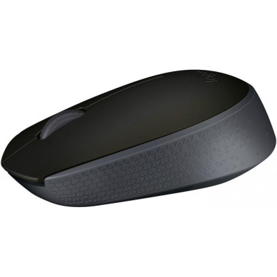 Миша Logitech M171 Black (910-00442)