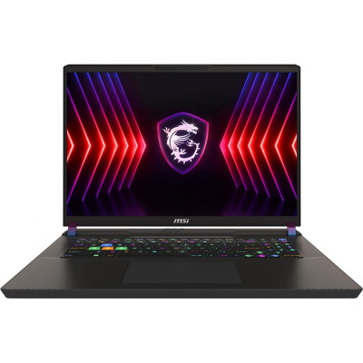 Ноутбук MSI Vector 17 HX A14V (A14VGG-253PL)
