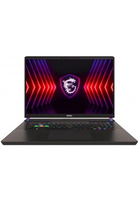 Ноутбук MSI Vector 17 HX A14VGG-245CZ Gray (9S7-17S262-245)