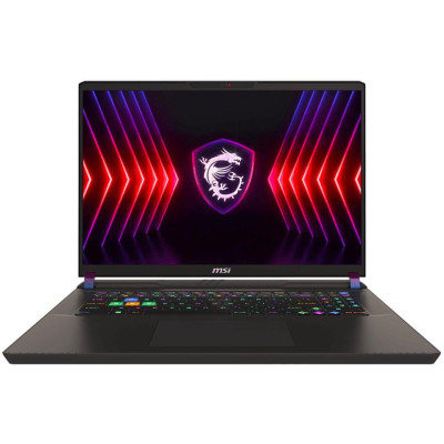 Ноутбук MSI Vector 17 HX A14VGG-245CZ Gray (9S7-17S262-245)