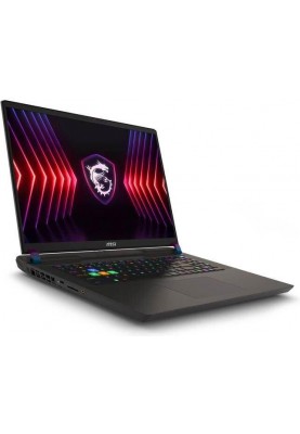 Ноутбук MSI Vector 17 HX A14VGG-245CZ Gray (9S7-17S262-245)