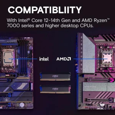 Пам'ять для настільних комп'ютерів Crucial 32 GB (2x16GB) DDR5 6000 MHz Pro Overclocking (CP2K16G60C36U5B)