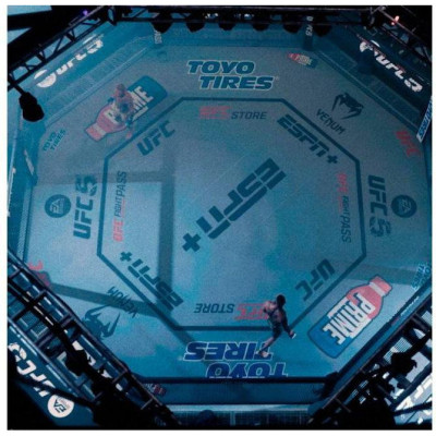 Гра для PS5 UFC 5 PS5 (1163870, 5908305248255)