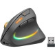 Миша Speed-Link Piavo Pro (SL-630026-BK)