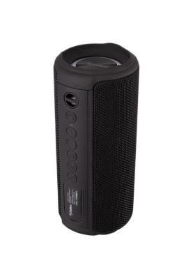 Портативна стовпчик Gelius Pro BoomBox X GP-BS500X Black