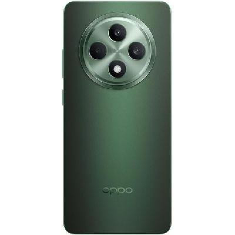 Смартфон OPPO Reno12 F 5G 8/256GB Black Green