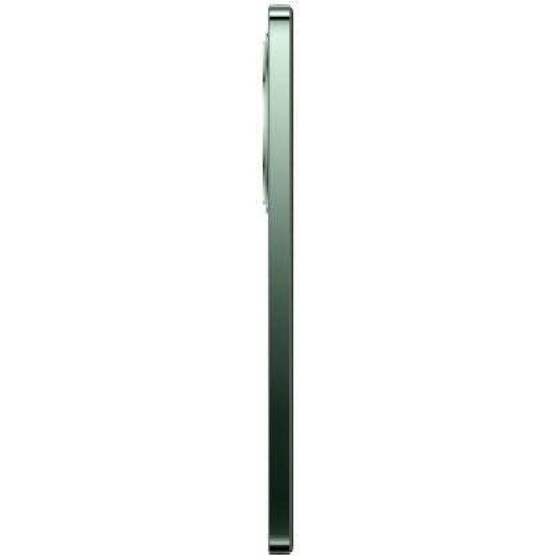 Смартфон OPPO Reno12 F 5G 8/256GB Black Green