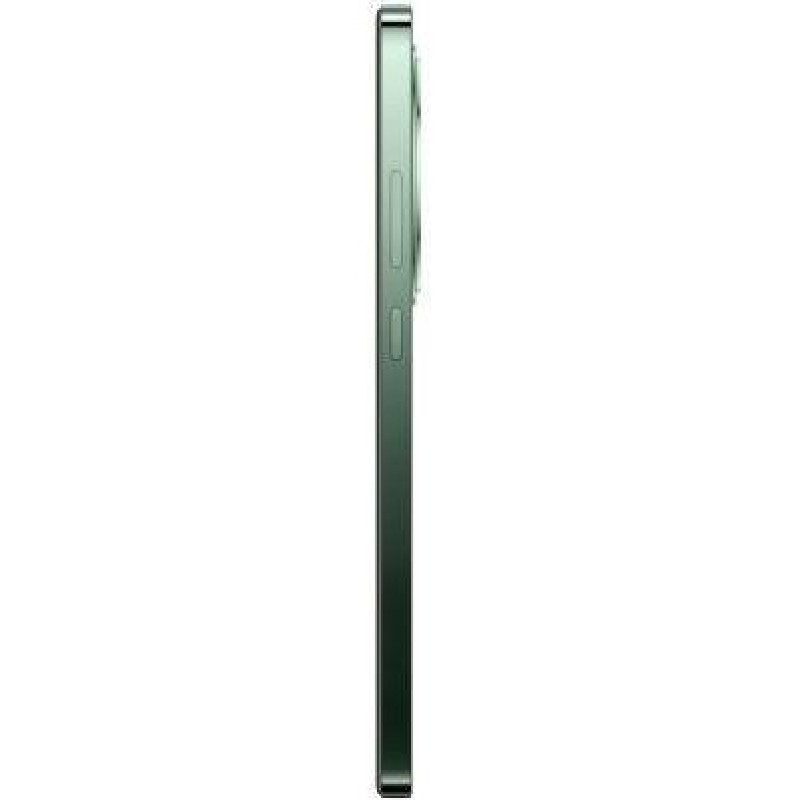 Смартфон OPPO Reno12 F 5G 8/256GB Black Green