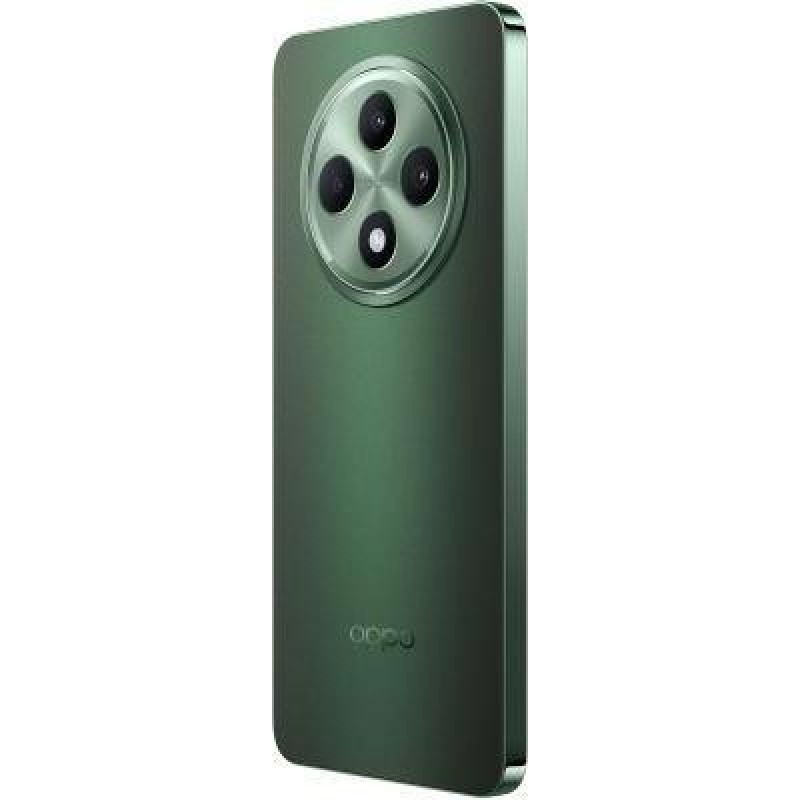 Смартфон OPPO Reno12 F 5G 8/256GB Black Green