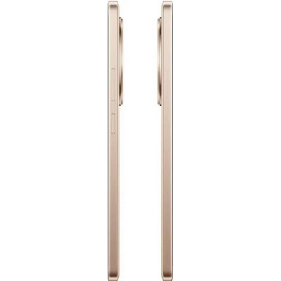 Смартфон realme 13+ 8/256GB Victory Gold