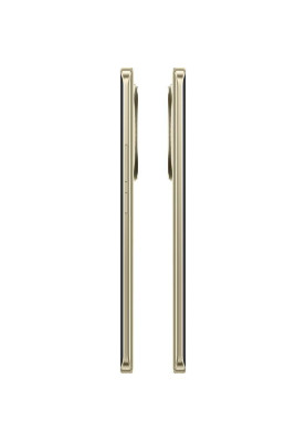 Смартфон realme 13 Pro+ 8/256GB Monet Gold