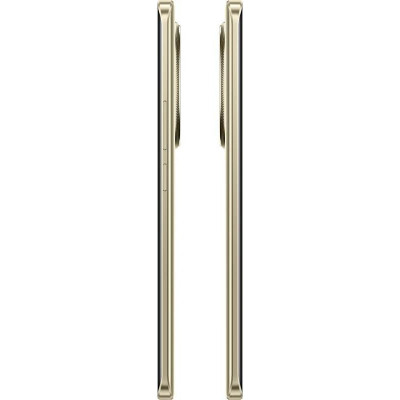 Смартфон realme 13 Pro+ 8/256GB Monet Gold