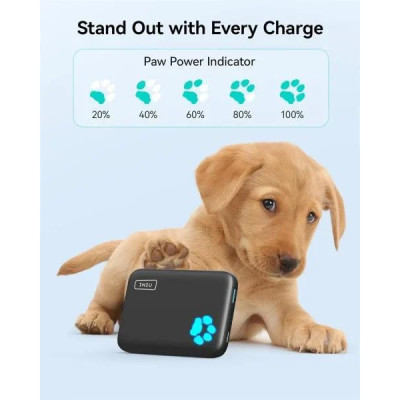 Зовнішній акумулятор (павербанк) INIU BI-B43 10000mAh Black