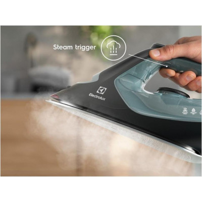 Праска з парою Electrolux E7SI2-6OG