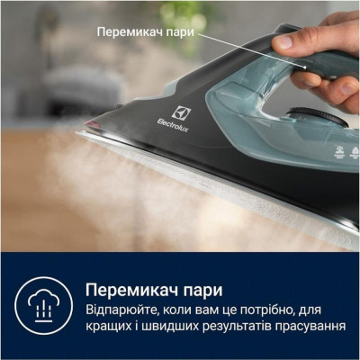 Праска з парою Electrolux E7SI2-6OG