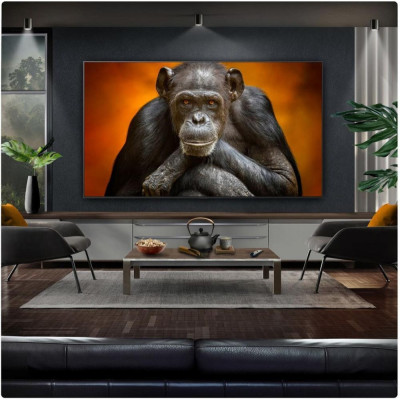 ТБ LG OLED77G51LW
