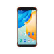Смартфон Blackview BV4900 Pro 4/64GB Orange