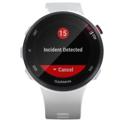 Спортивний годинник Garmin Forerunner 45s White (010-02156-00/10)