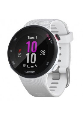 Спортивний годинник Garmin Forerunner 45s White (010-02156-00/10)