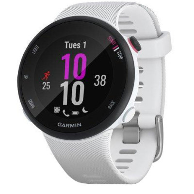 Спортивний годинник Garmin Forerunner 45s White (010-02156-00/10)