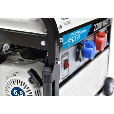 Бензиновий генератор Blaupunkt PG2065 (BPG-TP-2065-A38X)