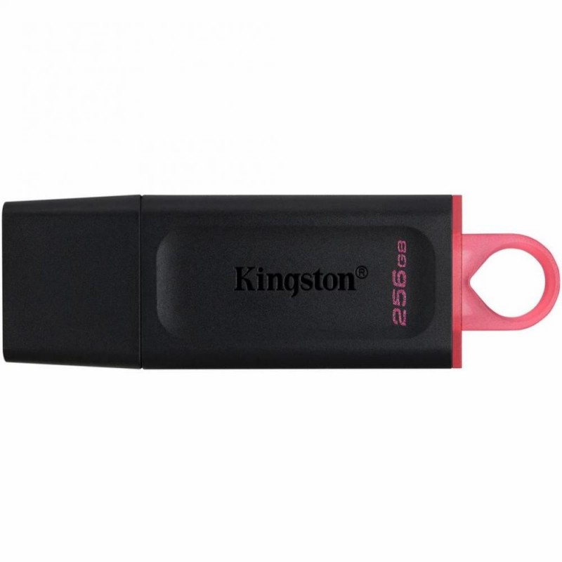 Флешка Kingston 256 GB DataTraveler Exodia (DTX/256GB)