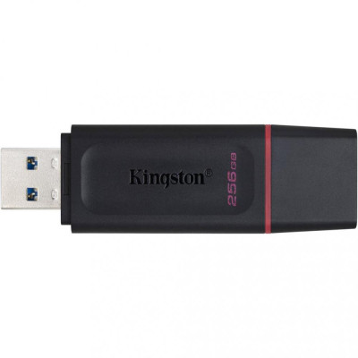 Флешка Kingston 256 GB DataTraveler Exodia (DTX/256GB)