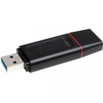 Флешка Kingston 256 GB DataTraveler Exodia (DTX/256GB)