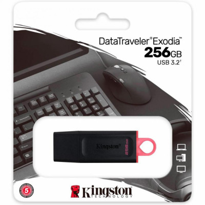 Флешка Kingston 256 GB DataTraveler Exodia (DTX/256GB)