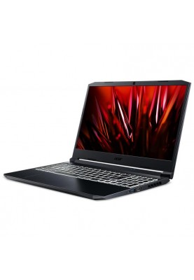 Ноутбук Acer Nitro 5 AN515-45 (NH.QBCEP.00P)